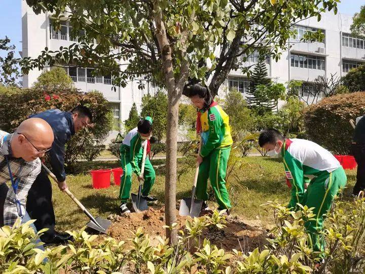 bob半岛官网平台让绿意更浓让城市更美！番禺区行道树成生态(图3)