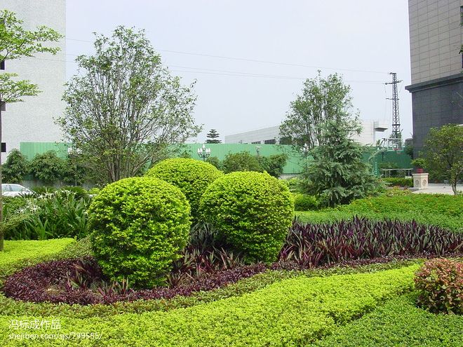 陇南市司法局组织召开《陇南市武都区南北两山绿化条例(草案)》立法论证会bob半岛体育(图1)