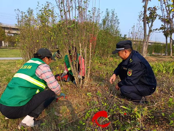 BOB半岛确山县住建局：秋季修剪养护忙 绿化城市新气象(图2)