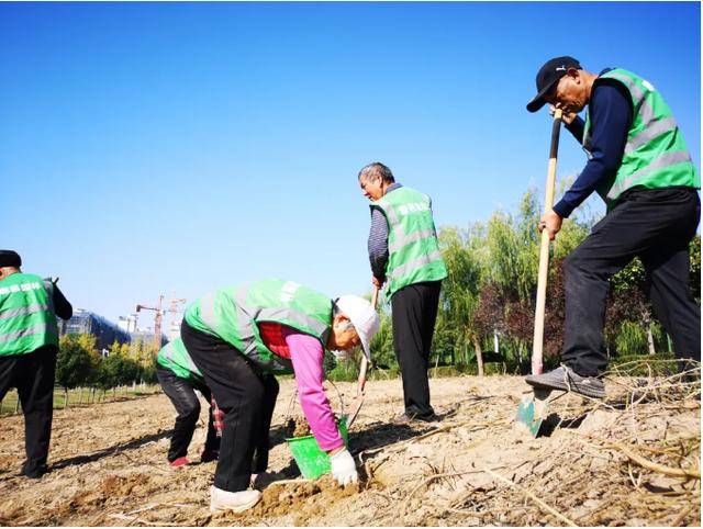 鹿邑：园林绿地养护忙不负秋色好风光bob半岛体育(图4)