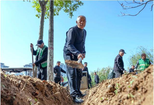 鹿邑：园林绿地养护忙不负秋色好风光bob半岛体育(图8)