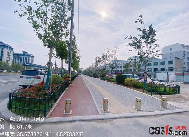 浚县卫河路（黎bob半岛体育阳路-芙蓉路）道路绿化工程涉嫌未标先建(图1)