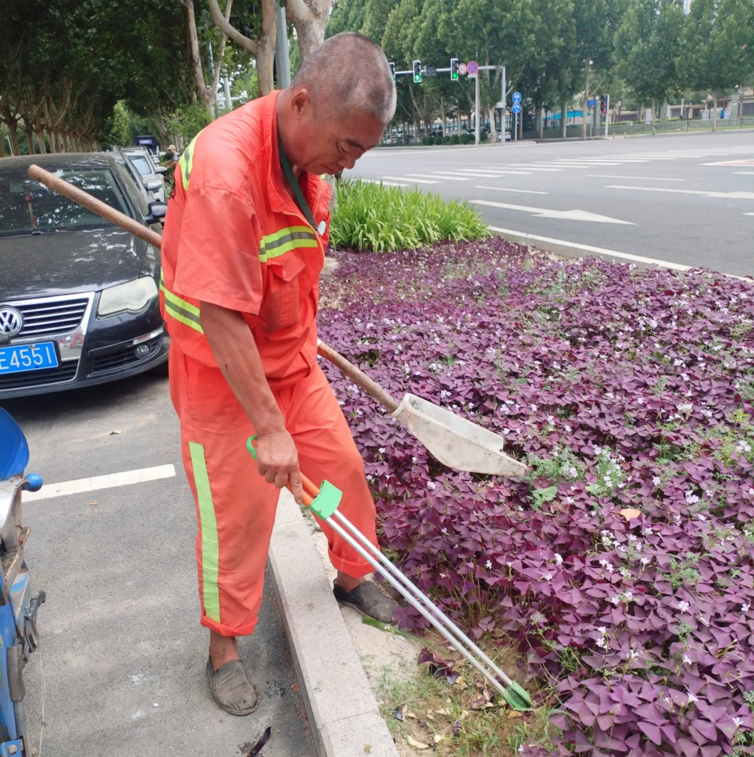 守护城市之绿：亮城环卫公司加强bob半岛官网树坑、绿化带清扫工作(图2)