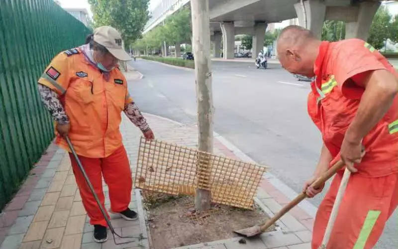 守护城市之绿：亮城环卫公司加强bob半岛官网树坑、绿化带清扫工作(图3)