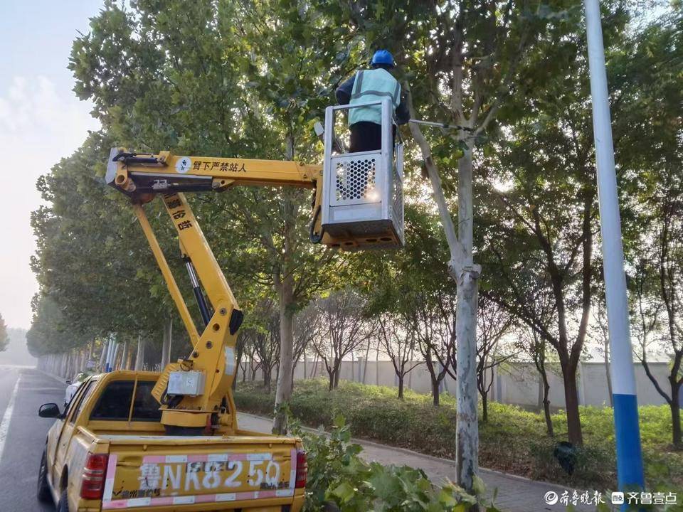 德州园林：打出秋季管养bob半岛官网“组合拳”助推绿化景观再提升(图1)