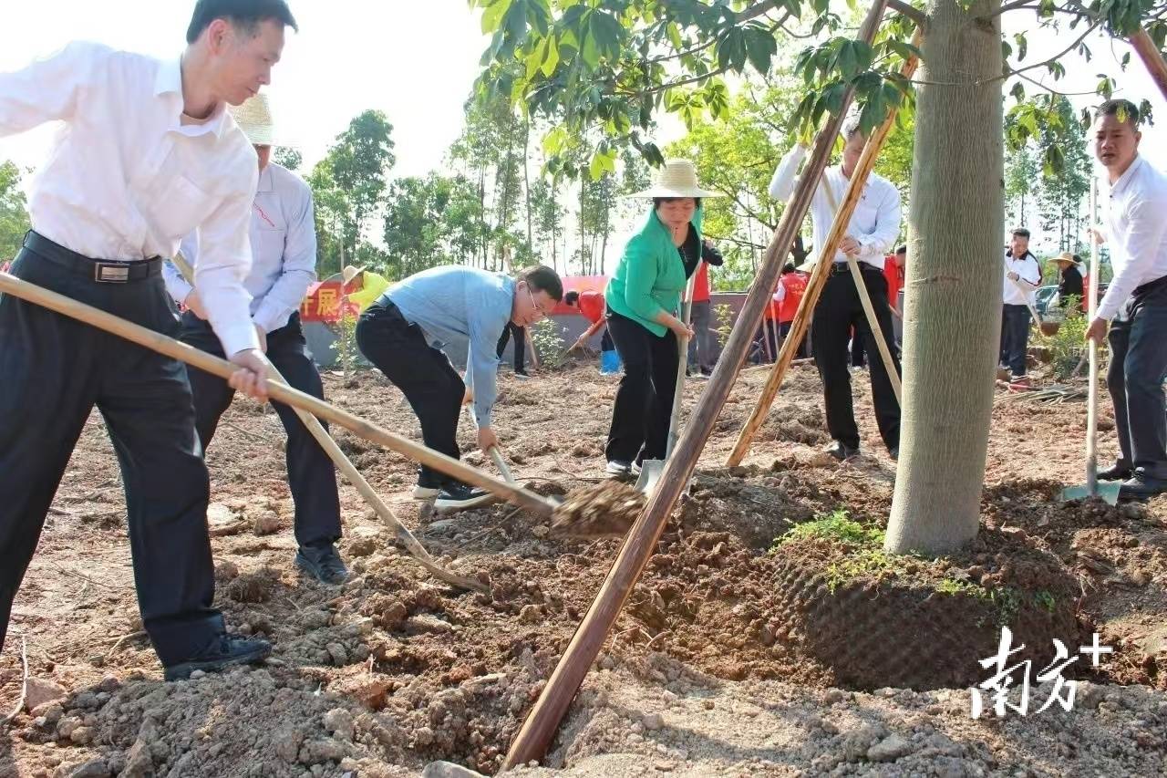 各施“绿”法各有精彩！阳春扎实推进县镇村绿化BOB半岛(图2)