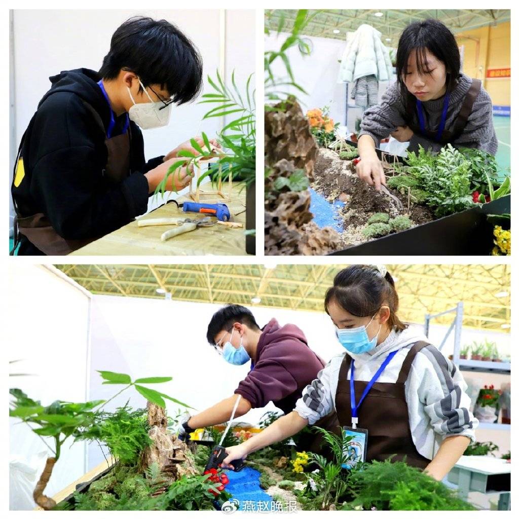 BOB半岛“太行秋韵”美 学子竞争辉—园林微景观设计与制作技能大赛圆满举办(图1)