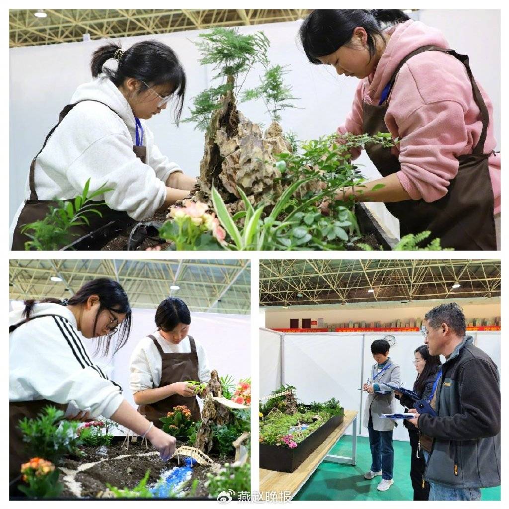 BOB半岛“太行秋韵”美 学子竞争辉—园林微景观设计与制作技能大赛圆满举办(图2)